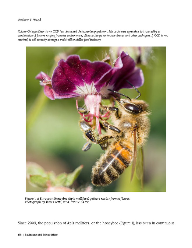 Environmental ScienceBites Volume 1 - New Page