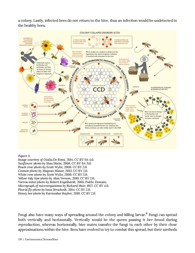 Environmental ScienceBites Volume 1 - New Page