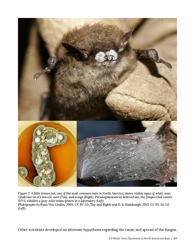 Environmental ScienceBites Volume 1 - New Page