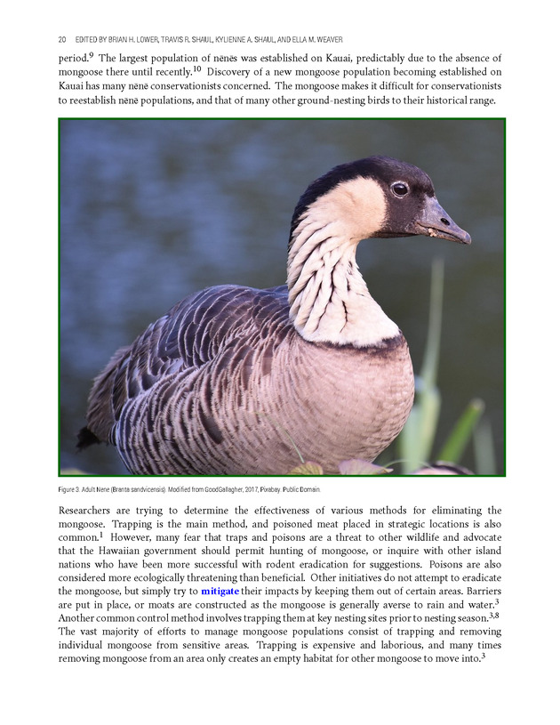 Environmental ScienceBites Volume 2 - New Page