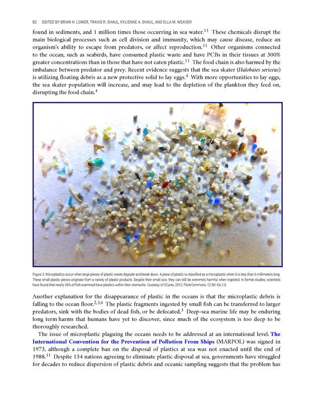 Environmental ScienceBites Volume 2 - New Page
