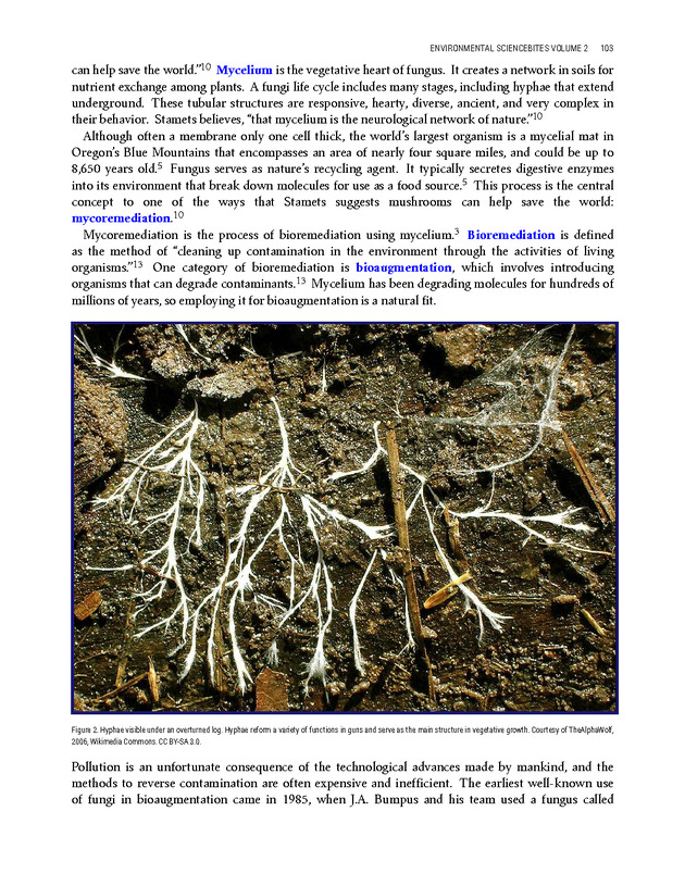 Environmental ScienceBites Volume 2 - New Page