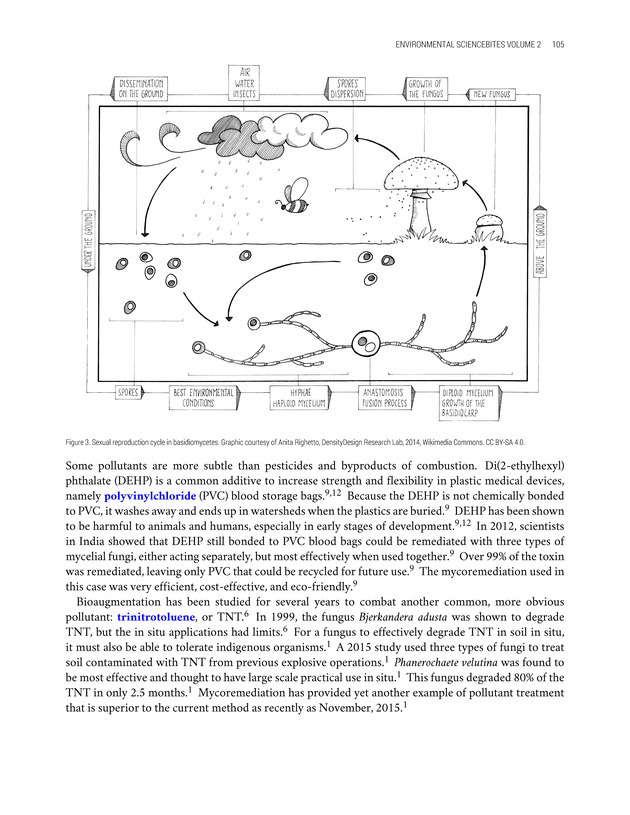Environmental ScienceBites Volume 2 - New Page