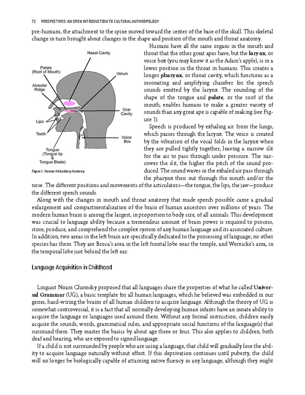 PERSPECTIVES: AN OPEN INTRODUCTION TO CULTURAL ANTHROPOLOGY - New Page