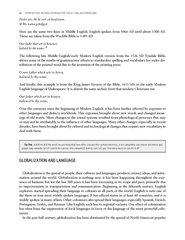 PERSPECTIVES: AN OPEN INTRODUCTION TO CULTURAL ANTHROPOLOGY - New Page