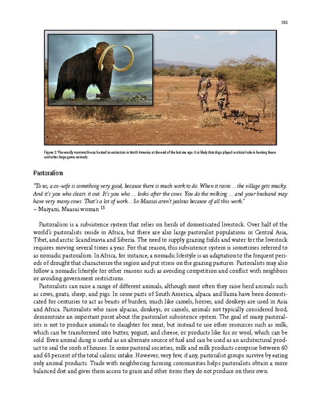 PERSPECTIVES: AN OPEN INTRODUCTION TO CULTURAL ANTHROPOLOGY - New Page