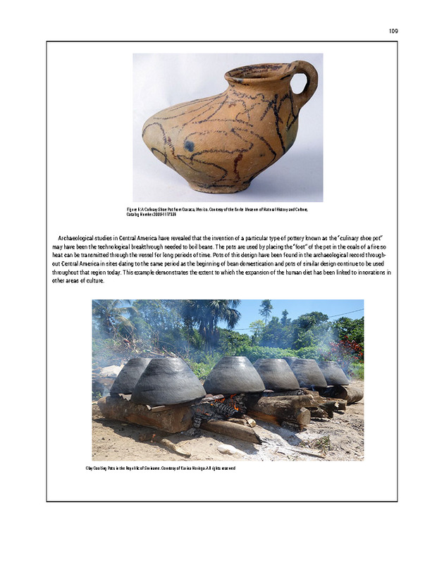 PERSPECTIVES: AN OPEN INTRODUCTION TO CULTURAL ANTHROPOLOGY - New Page