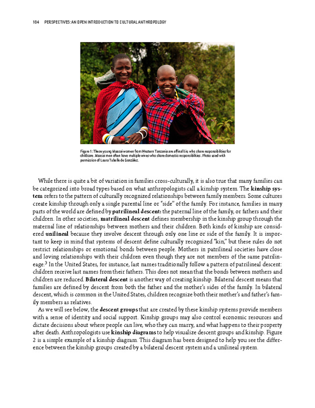 PERSPECTIVES: AN OPEN INTRODUCTION TO CULTURAL ANTHROPOLOGY - New Page