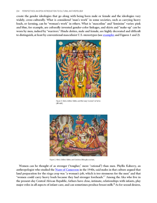 PERSPECTIVES: AN OPEN INTRODUCTION TO CULTURAL ANTHROPOLOGY - New Page