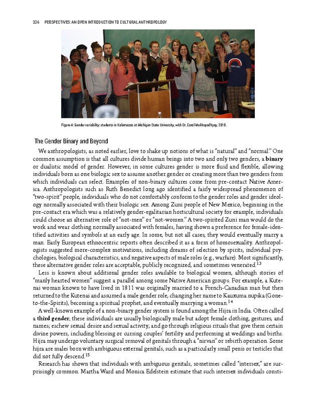 PERSPECTIVES: AN OPEN INTRODUCTION TO CULTURAL ANTHROPOLOGY - New Page
