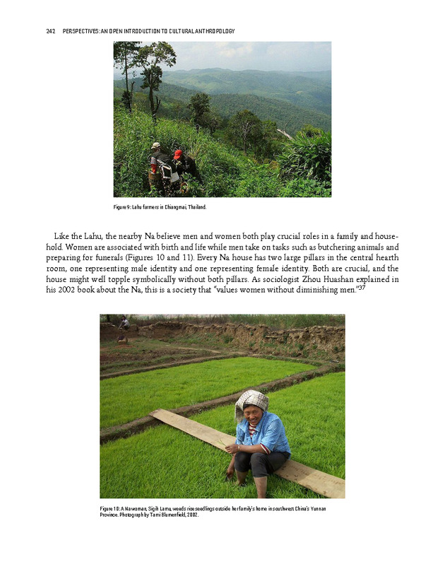 PERSPECTIVES: AN OPEN INTRODUCTION TO CULTURAL ANTHROPOLOGY - New Page