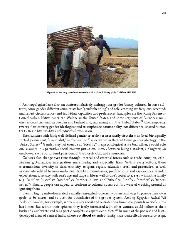 PERSPECTIVES: AN OPEN INTRODUCTION TO CULTURAL ANTHROPOLOGY - New Page