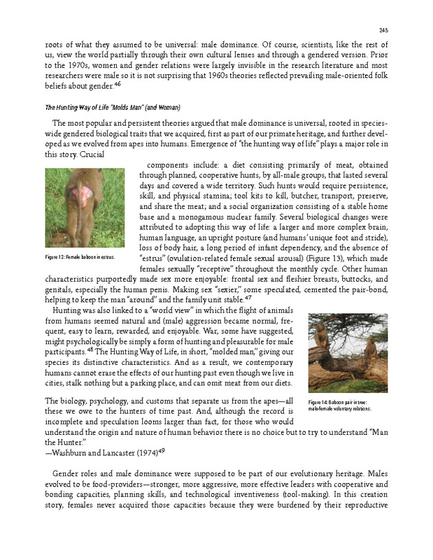 PERSPECTIVES: AN OPEN INTRODUCTION TO CULTURAL ANTHROPOLOGY - New Page