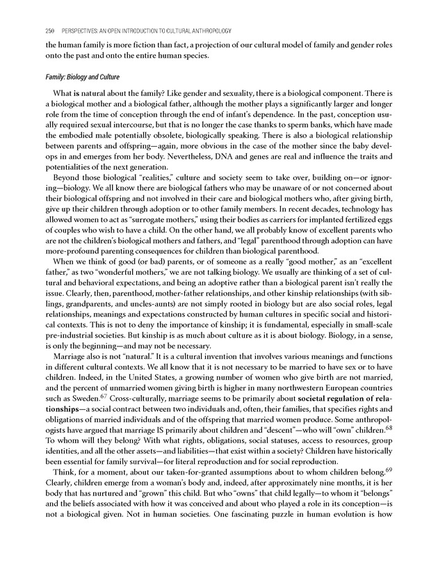 PERSPECTIVES: AN OPEN INTRODUCTION TO CULTURAL ANTHROPOLOGY - New Page