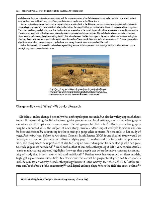 PERSPECTIVES: AN OPEN INTRODUCTION TO CULTURAL ANTHROPOLOGY - New Page