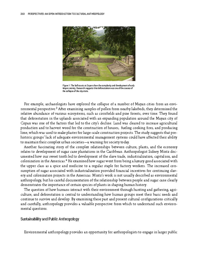 PERSPECTIVES: AN OPEN INTRODUCTION TO CULTURAL ANTHROPOLOGY - New Page
