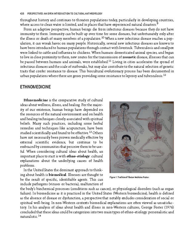 PERSPECTIVES: AN OPEN INTRODUCTION TO CULTURAL ANTHROPOLOGY - New Page