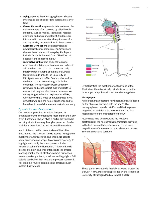 Anatomy and Physiology 2e - New Page