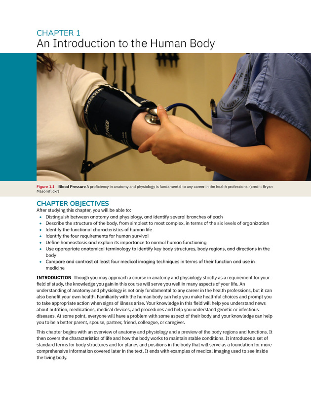 Anatomy and Physiology 2e - New Page