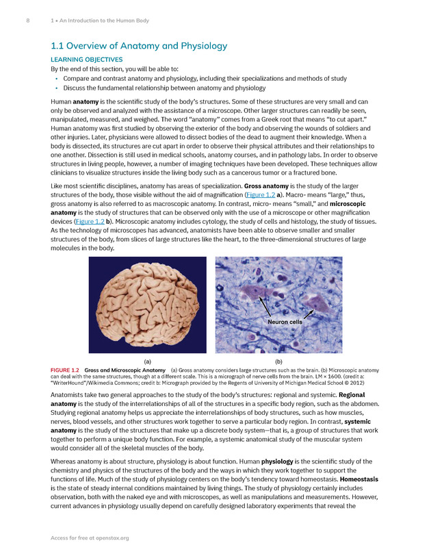 Anatomy and Physiology 2e - New Page