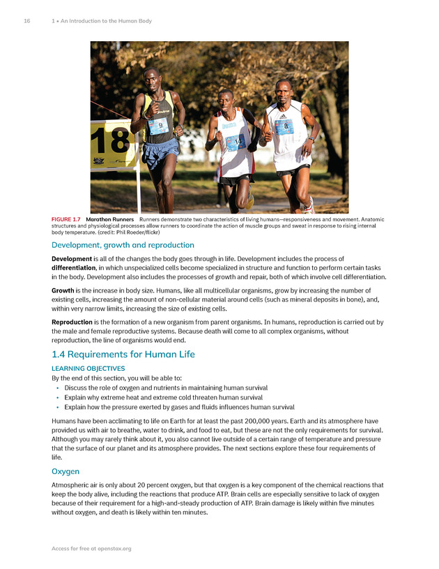 Anatomy and Physiology 2e - New Page