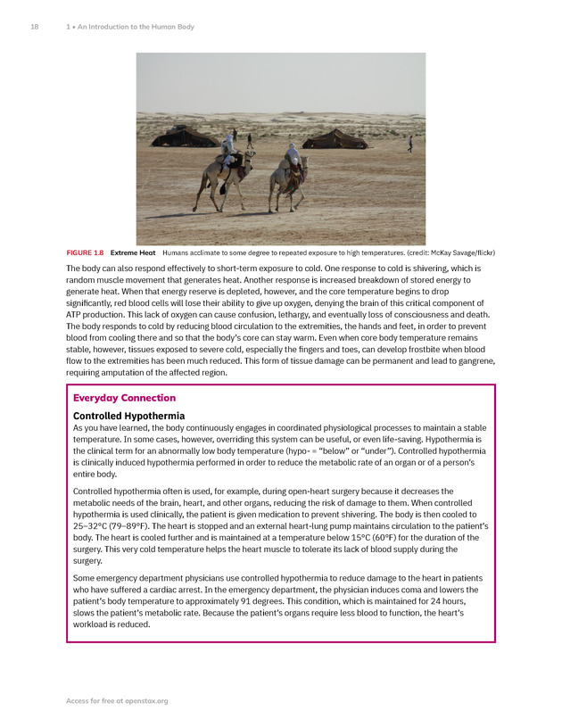 Anatomy and Physiology 2e - New Page