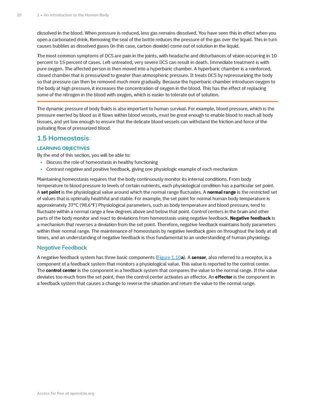 Anatomy and Physiology 2e - New Page
