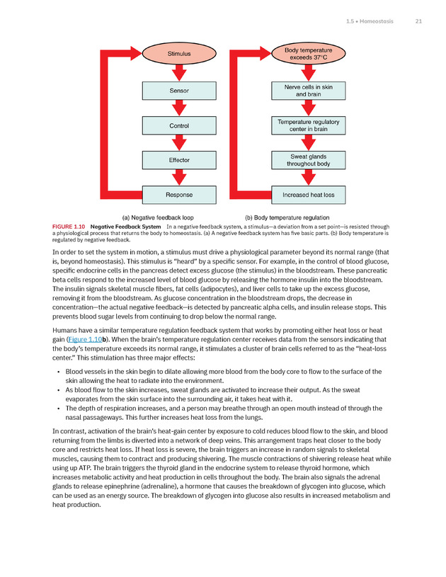 Anatomy and Physiology 2e - New Page