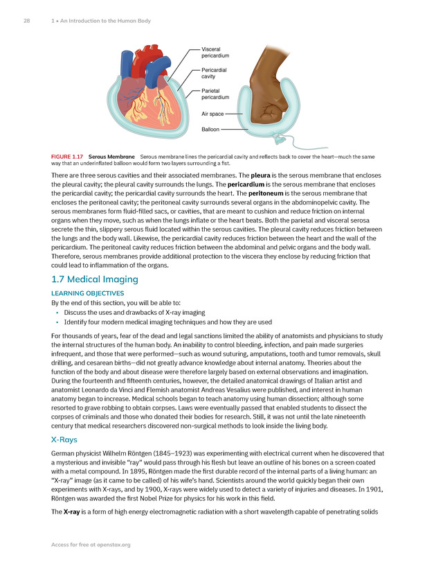 Anatomy and Physiology 2e - New Page