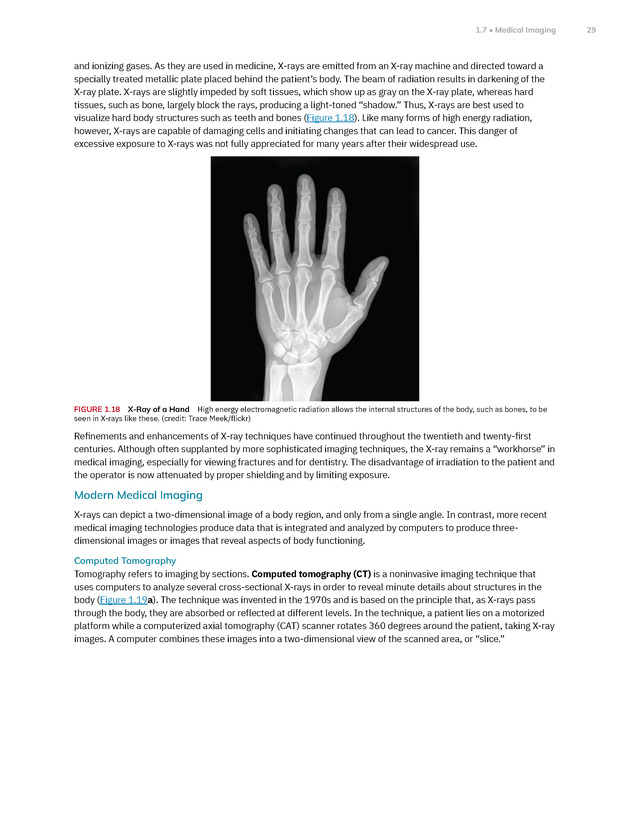 Anatomy and Physiology 2e - New Page