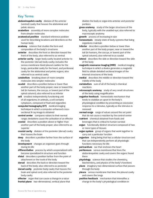 Anatomy and Physiology 2e - New Page
