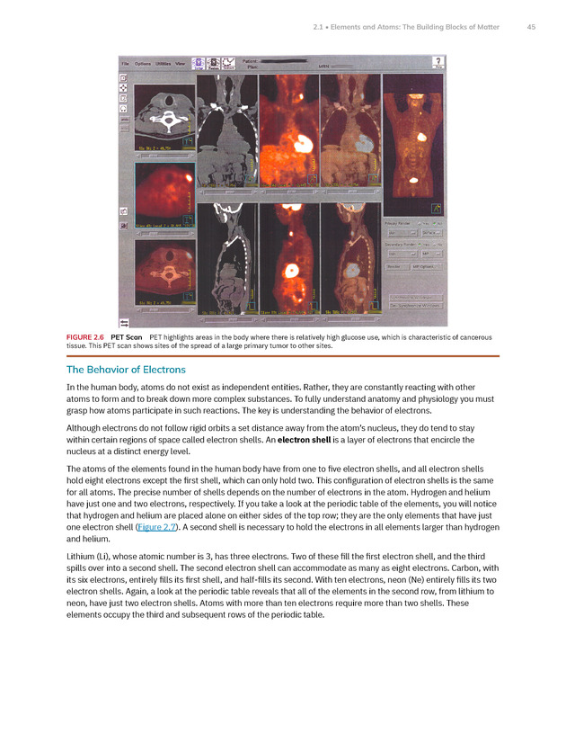 Anatomy and Physiology 2e - New Page