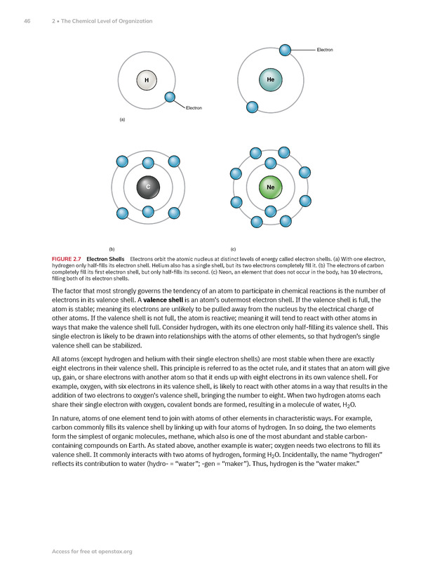 Anatomy and Physiology 2e - New Page