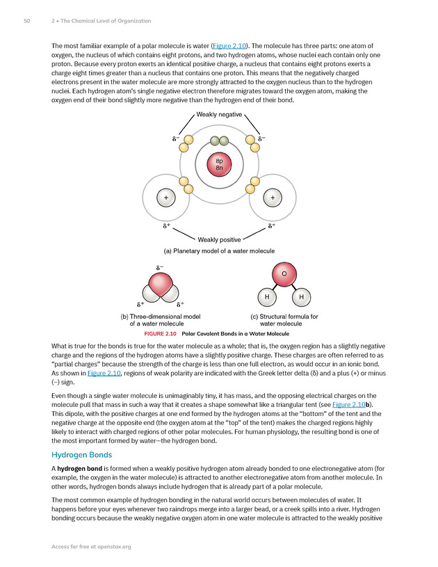 Anatomy and Physiology 2e - New Page