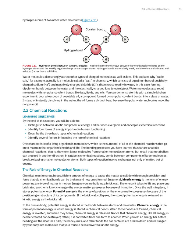 Anatomy and Physiology 2e - New Page