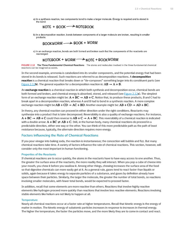 Anatomy and Physiology 2e - New Page