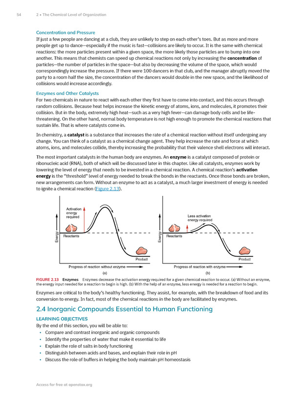 Anatomy and Physiology 2e - New Page