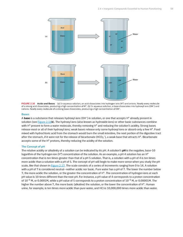 Anatomy and Physiology 2e - New Page