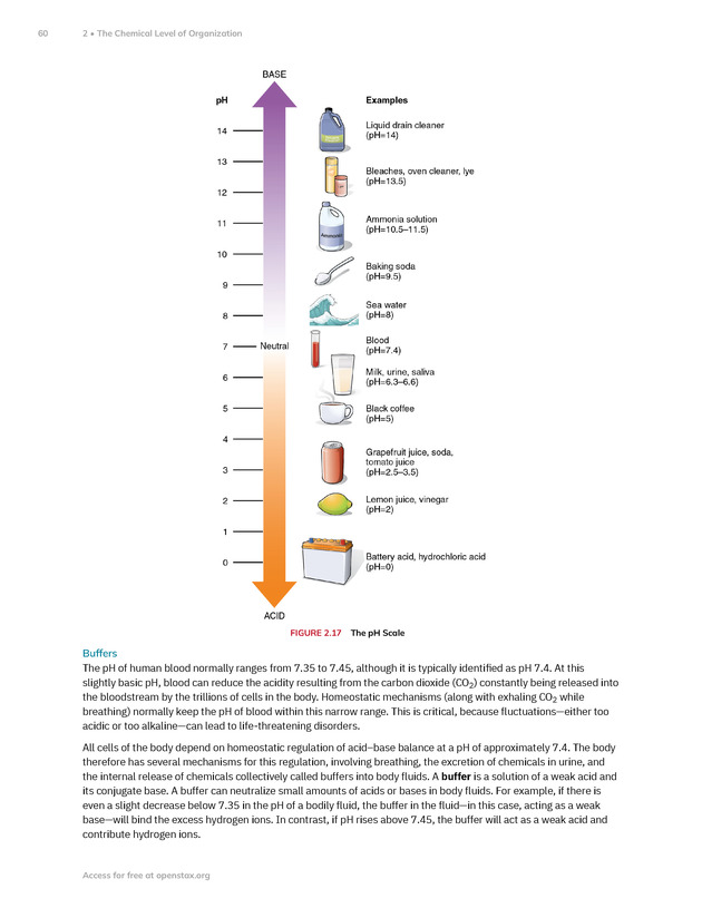 Anatomy and Physiology 2e - New Page