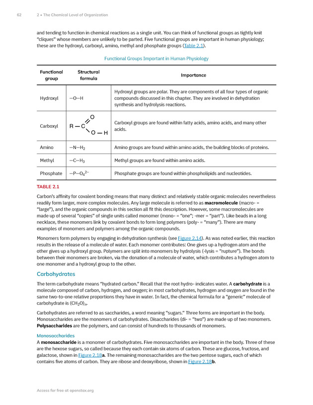 Anatomy and Physiology 2e - New Page