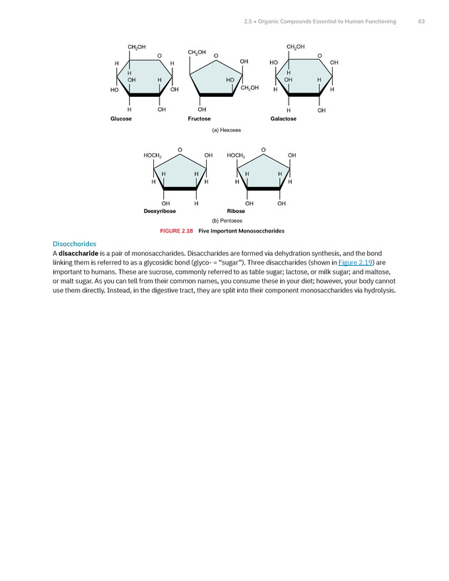 Anatomy and Physiology 2e - New Page