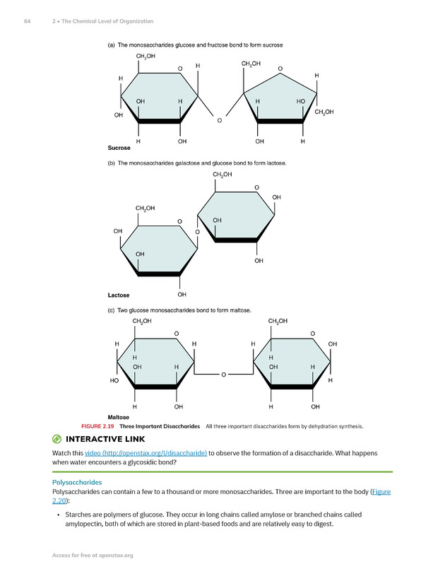 Anatomy and Physiology 2e - New Page