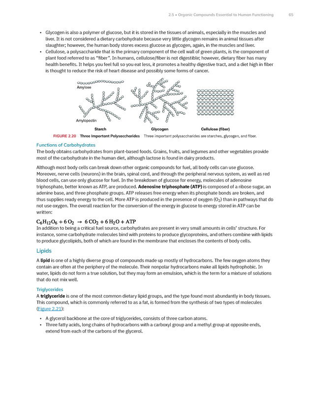Anatomy and Physiology 2e - New Page