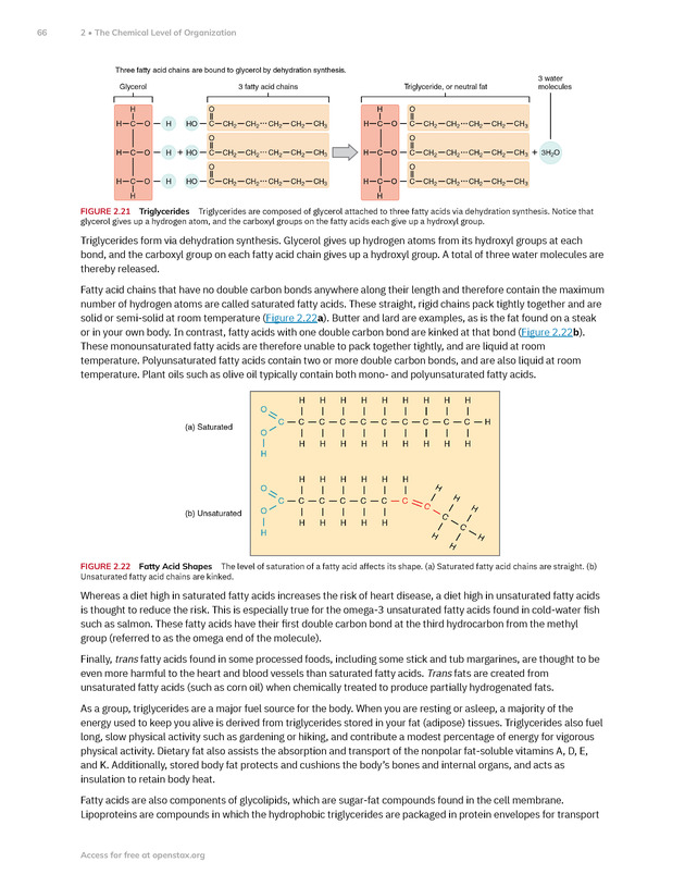 Anatomy and Physiology 2e - New Page