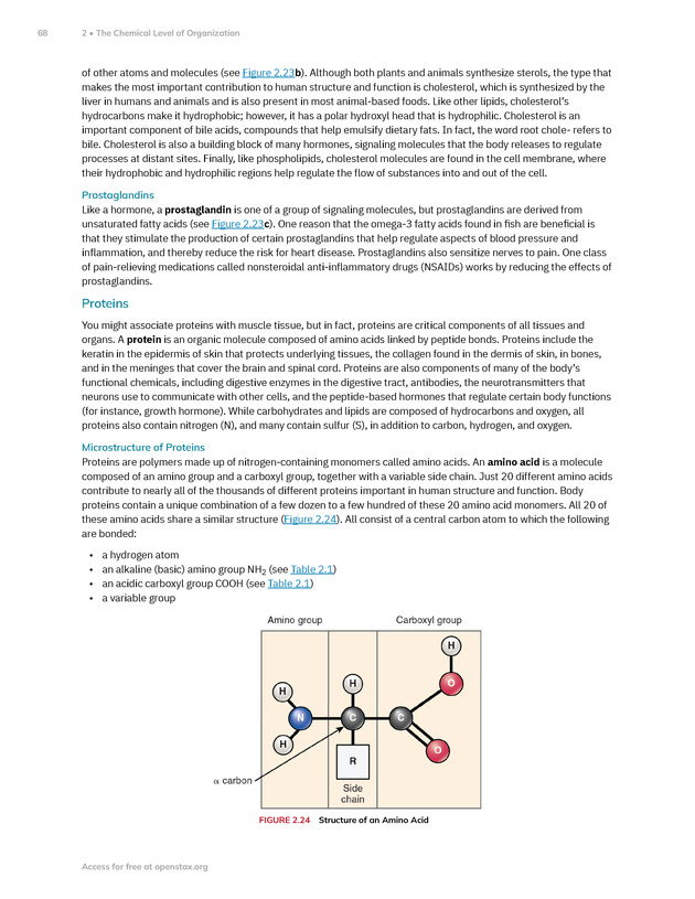 Anatomy and Physiology 2e - New Page