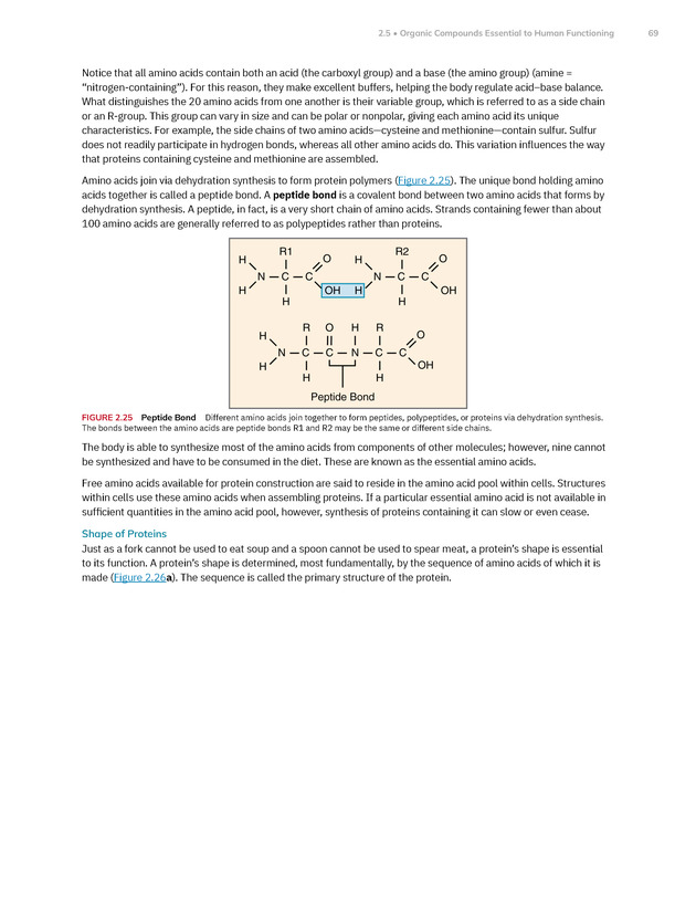 Anatomy and Physiology 2e - New Page