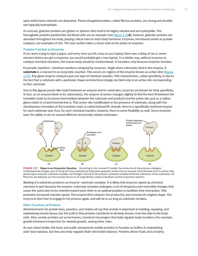 Anatomy and Physiology 2e - New Page