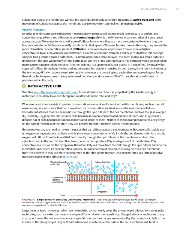 Anatomy and Physiology 2e - New Page