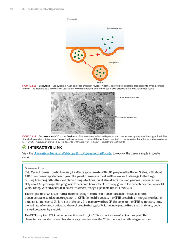 Anatomy and Physiology 2e - New Page