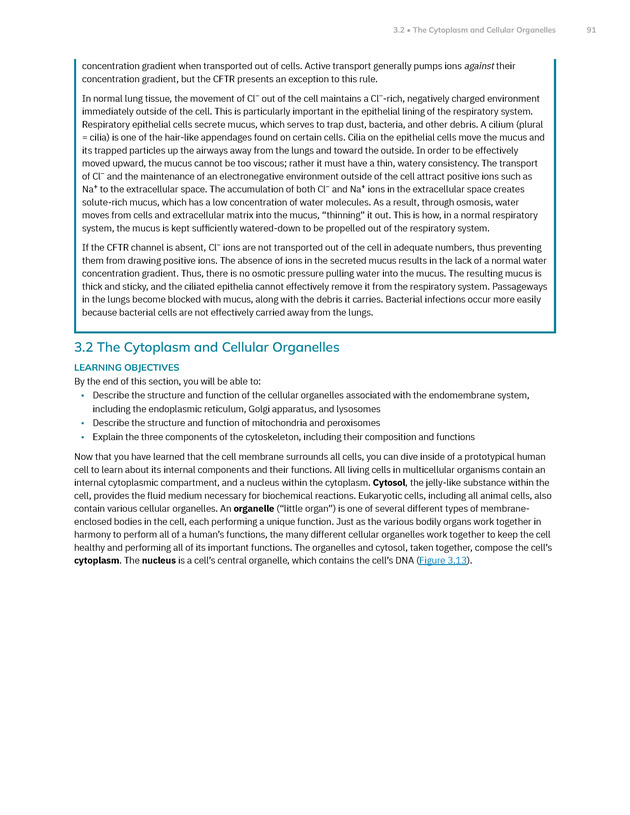 Anatomy and Physiology 2e - New Page